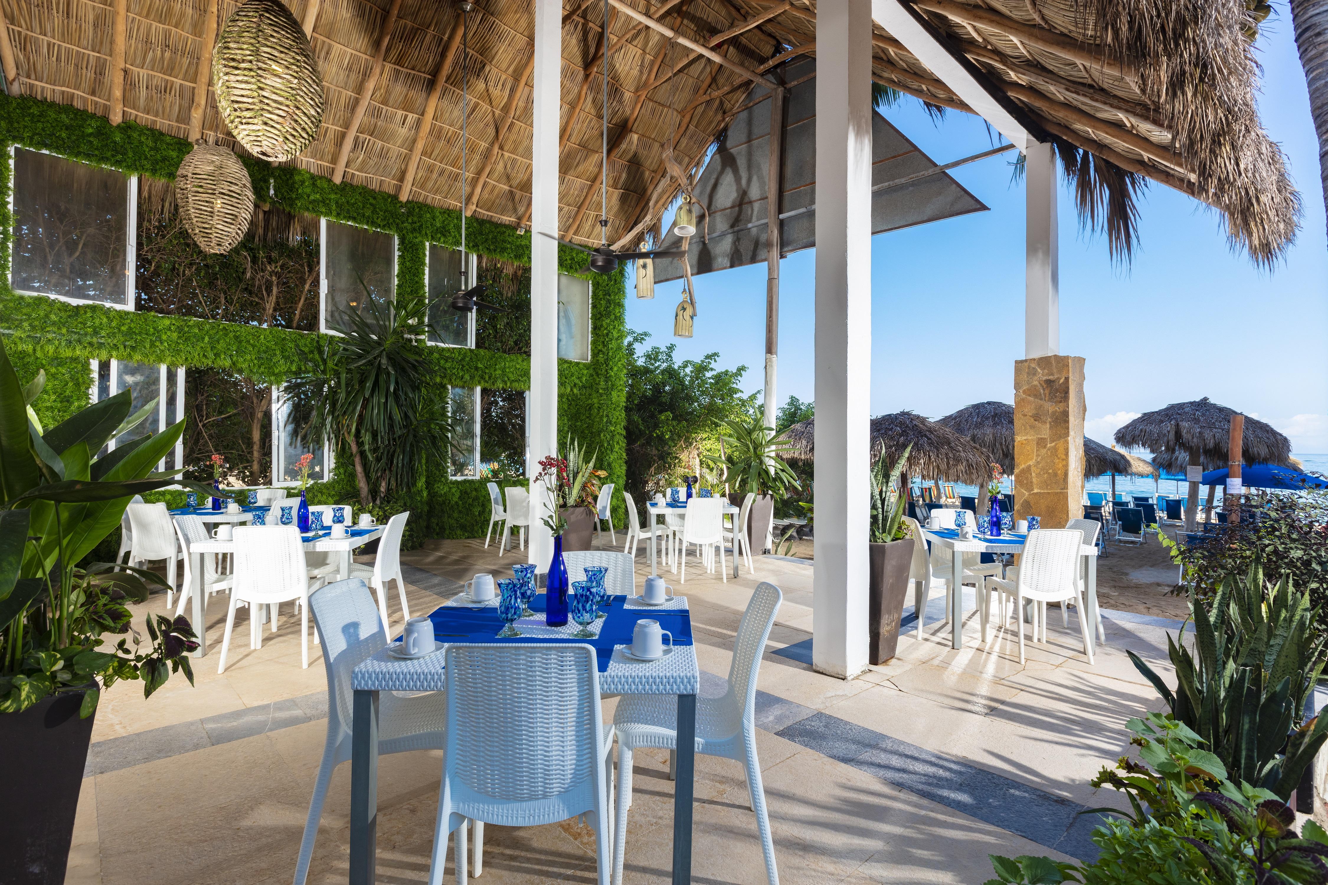 Blue Chairs Beachfront Resort Puerto Vallarta - Adults Only Dış mekan fotoğraf